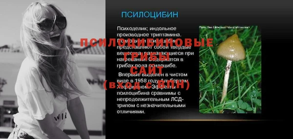 2c-b Абаза